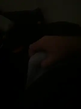 Snapshot of yassineamri chatting on March 28, 1:22 pm yassineamri online show from March 28, 1:22 pm