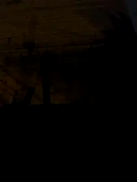 tuchokolatit0 online show from April 3, 8:34 am