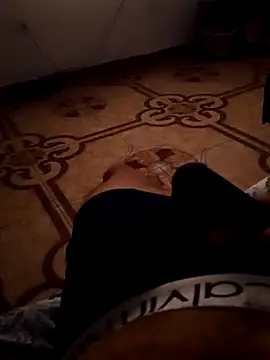 Snapshot of Meliods chatting on March 27, 10:53 pm Meliods online show from March 27, 10:53 pm