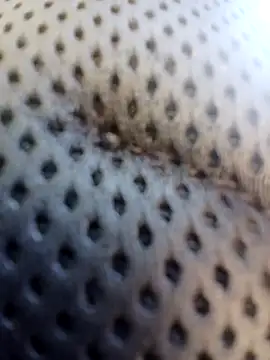 Snapshot of ejthedancer chatting on March 24, 5:29 pm ejthedancer online show from March 24, 5:29 pm