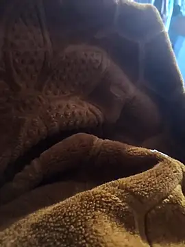 Snapshot of sexy-girl147 chatting on April 5, 9:12 pm sexy-girl147 online show from April 5, 9:12 pm