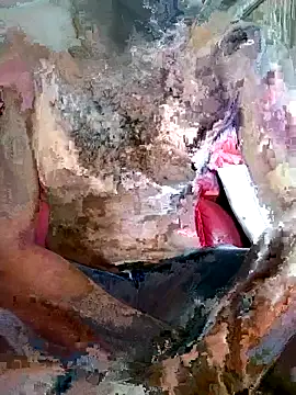 SteedyGee online show from March 27, 9:32 am