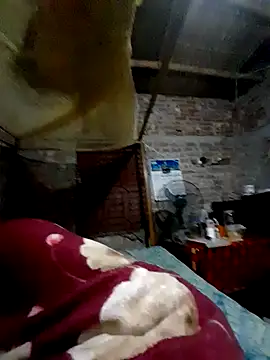 salam632 online show from March 30, 1:34 pm