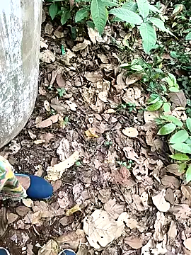 Snapshot of Chandni78 chatting on April 2, 7:50 am Chandni78 online show from April 2, 7:50 am