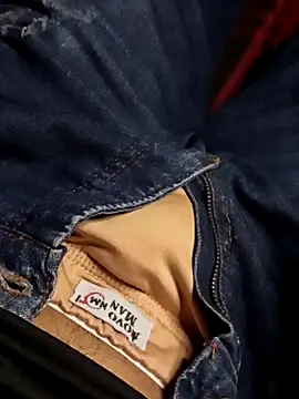 Snapshot of novinho137 chatting on March 31, 1:07 am novinho137 online show from March 31, 1:07 am