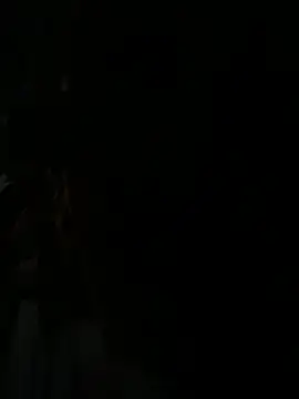 Smith2113pv online show from April 2, 10:24 am