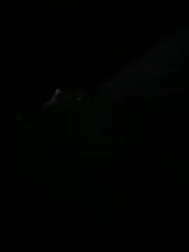 shykinks online show from June 10, 4:12 am