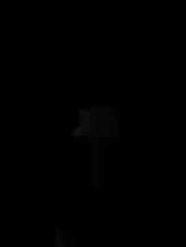Hildaqii online show from June 16, 8:00 pm