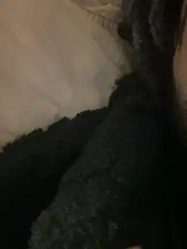 Snapshot of BBCboy365 chatting on April 12, 10:48 pm BBCboy365 online show from April 12, 10:48 pm