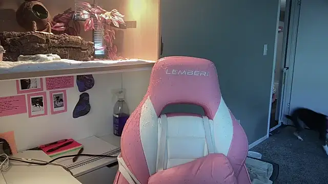 MUSCLEMOMMY1365 online show from April 29, 5:30 pm