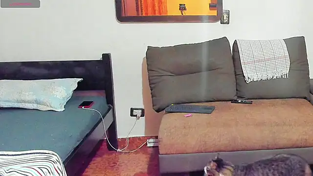 Teo Rave online show from June 27, 4:06 am