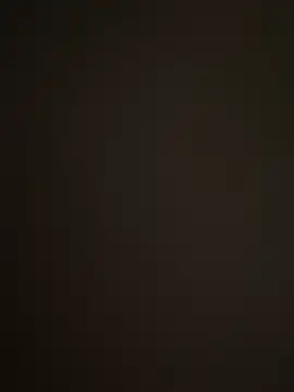 Barloo online show from December 2, 8:48 pm