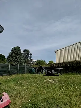 Osuleom29 online show from April 25, 1:25 pm