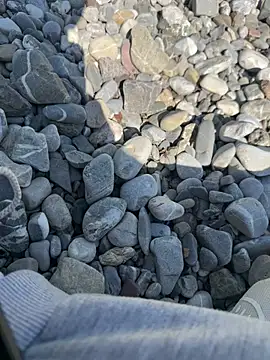 Wolf 18cm online show from April 30, 12:22 pm