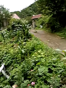 Snapshot of Elfledaa chatting on June 20, 9:56 am Elfledaa online show from June 20, 9:56 am