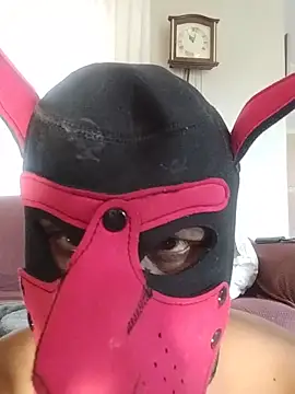 sillybonker online show from May 25, 9:04 am