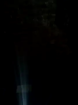 CardoSsmtz online show from July 5, 4:52 am