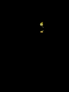 lambakooli online show from June 13, 7:56 pm