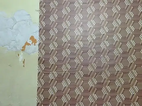 Snapshot of sayana_shrma chatting on July 14, 10:21 am sayana shrma online show from July 14, 10:21 am
