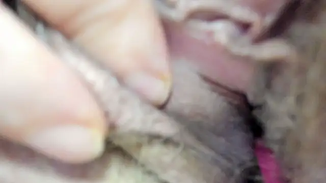 vitabox online show from September 21, 6:20 pm