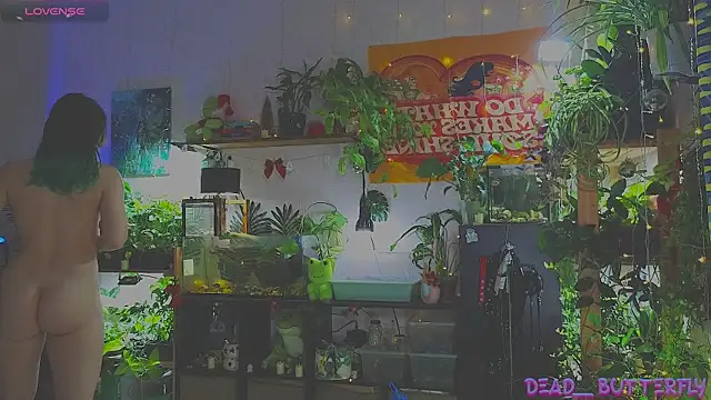 Dead Butterfly online show from January 12, 3:28 am