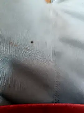 FriskyGender online show from October 17, 7:22 am