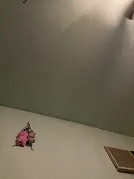 Snapshot of Slumlords chatting on March 11, 3:45 am Slumlords online show from March 11, 3:45 am