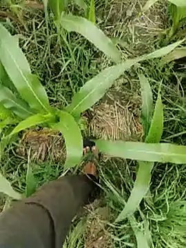 ThethunderPo online show from March 15, 4:29 am