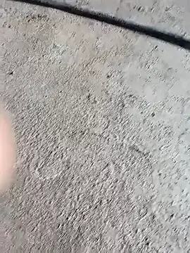 Bengali BULL1 online show from October 4, 5:05 am