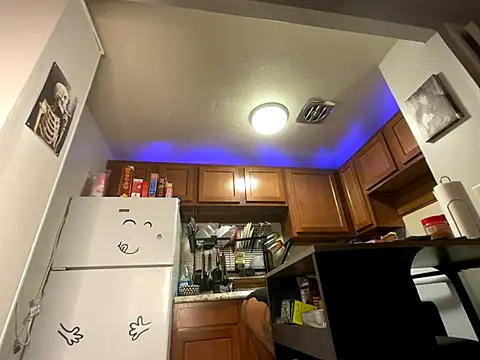 odbodu online show from October 4, 10:13 am