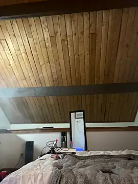 odbodu online show from November 23, 8:58 am