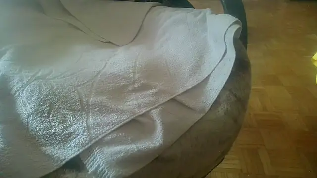 Python43 online show from February 20, 8:39 am