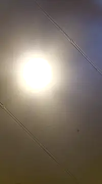 PinkTheHawk online show from January 11, 10:07 pm