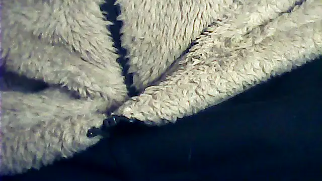 Snapshot of kalinixta chatting on January 6, 6:44 pm kalinixta online show from January 6, 6:44 pm