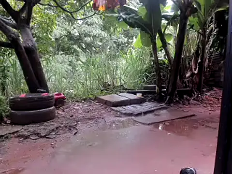 venusandzeusxh online show from October 14, 1:01 pm