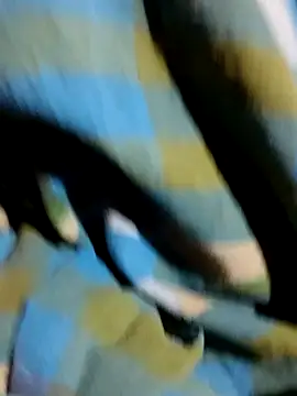 Snapshot of hq9870a chatting on November 8, 3:50 am hq9870a online show from November 8, 3:50 am