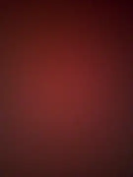 david geam online show from December 7, 3:08 pm