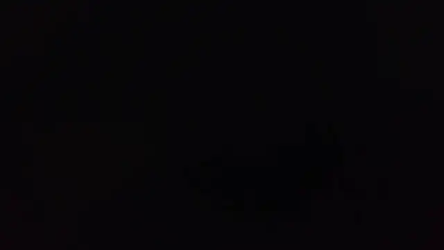 Snapshot of k-dong chatting on March 15, 3:23 am k-dong online show from March 15, 3:23 am