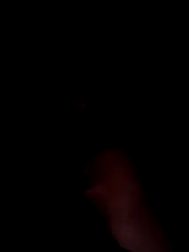 Latin summer online show from December 8, 11:40 pm