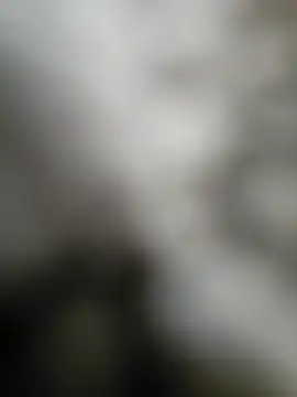 NiceHunter89 online show from September 15, 2:50 pm