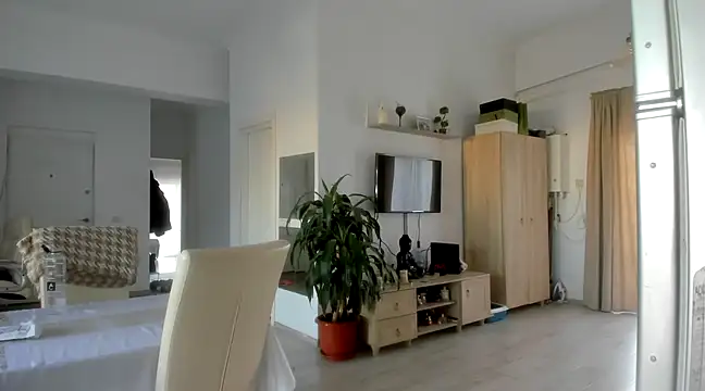 Snapshot of woolfiie chatting on December 19, 11:50 am woolfiie online show from December 19, 11:50 am