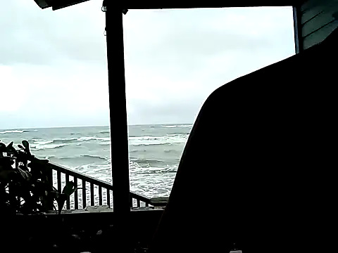 Luna-Natural online show from December 24, 4:40 pm