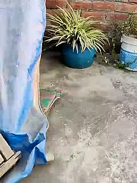 Snapshot of indianSmartboy chatting on December 21, 11:11 am indianSmartboy online show from December 21, 11:11 am