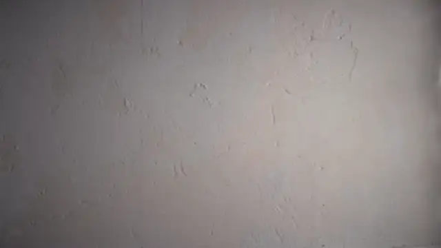 pinkgirls18 online show from February 10, 10:08 am