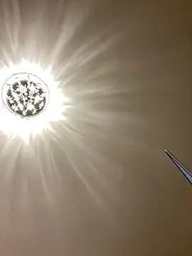 Snapshot of PreciousKittyXO chatting on November 7, 1:27 am PreciousKittyXO online show from November 7, 1:27 am