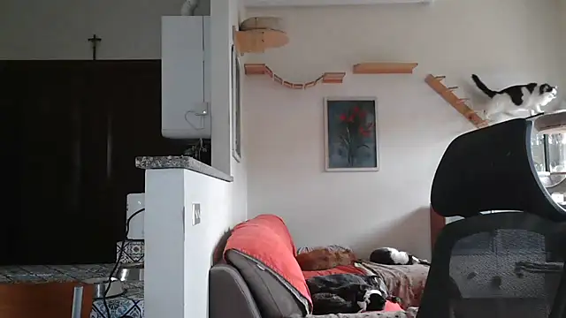 simona60 online show from February 9, 2:07 pm