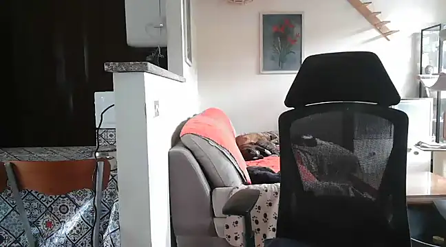 simona60 online show from February 23, 2:14 pm