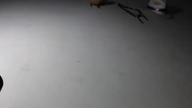 Snapshot of adrixxx38 chatting on January 17, 11:19 pm adrixxx38 online show from January 17, 11:19 pm