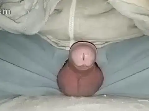 Bigdick666cm online show from January 31, 6:47 pm