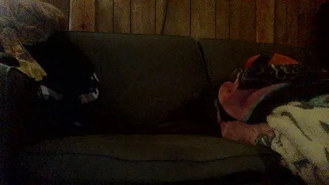 Ryoko Momoko online show from November 1, 2:46 am